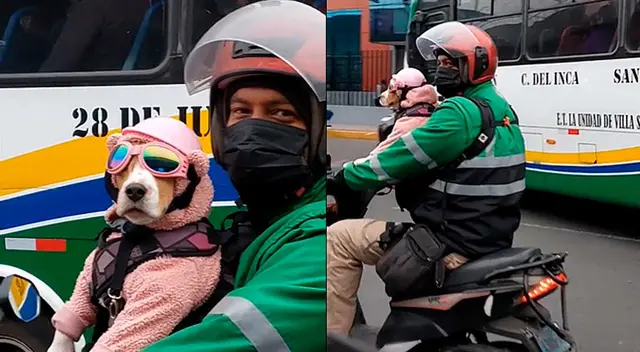 El insólito video de un perro motorizado que es sensación en redes sociales El insólito video de un perro motorizado que es sensación en redes sociales