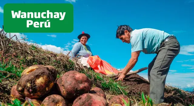Bono Wanuchay: ¿Cómo saber si soy beneficiario y cómo cobrarlo?