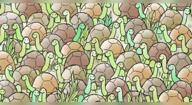 DIFÍCIL RETO VISUAL: Prueba tu destreza e inteligencia resolviendolo en 10 segundos