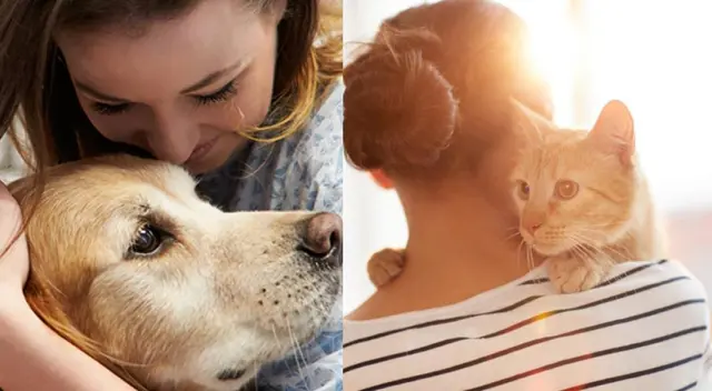 ¿Cómo se calcula la edad de los gatos y perros en años humanos? ¿Cómo se calcula la edad de los gatos y perros en años humanos?