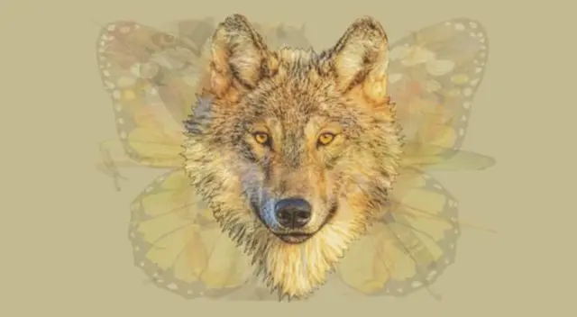 ¿Qué animal ves primero? Tu respuesta revelará un nuevo rasgo en tu personalidad ¿Qué animal ves primero? Tu respuesta revelará un nuevo rasgo en tu personalidad