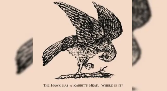 ¿Logras ver al conejo? Anímate a ubicarlo y demuestra toda tu INTELIGENCIA en segundos ¿Logras ver al conejo? Anímate a ubicarlo y demuestra toda tu INTELIGENCIA en segundos