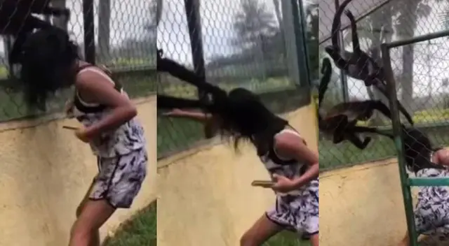 TikTok: Joven molesta a mono enjaulado y este tiene reacción viral TikTok: Joven molesta a mono enjaulado y este tiene reacción viral
