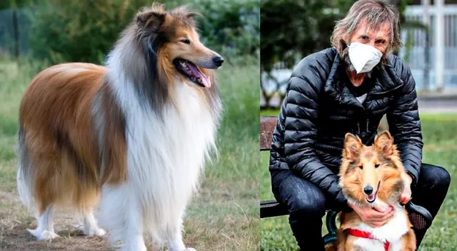 Ricardo Gareca: revisa 7 datos curiosos sobre Almendra, mascota del ex DT de Perú Ricardo Gareca: revisa 7 datos curiosos sobre Almendra, mascota del ex DT de Perú