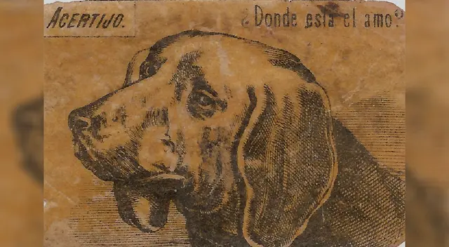Resuelve este reto visual en tiempo extremo ¿Podrás hacerlo? Resuelve este reto visual en tiempo extremo ¿Podrás hacerlo?