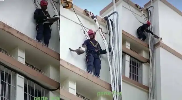 TikTok: Gatito es rescatado por agentes, pero nada sale como esperaban TikTok: Gatito es rescatado por agentes, pero nada sale como esperaban