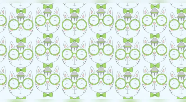 Encuentra al oso entre los gatos ¿podrás hacerlo? Encuentra al oso entre los gatos ¿podrás hacerlo?