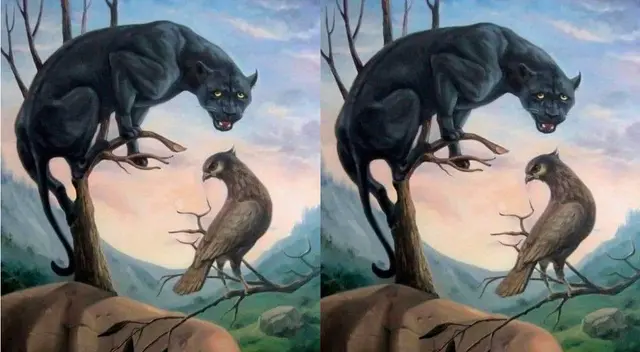 ¿Qué ves primero? Descubre tu lado más ‘salvaje’ con este peculiar test ¿Qué ves primero? Descubre tu lado más ‘salvaje’ con este peculiar test