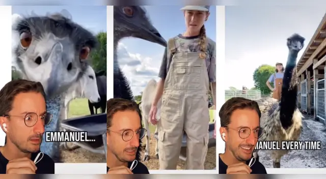 Emmanuel, el ñandú que quiere ser tiktoker Emmanuel, el ñandú que quiere ser tiktoker