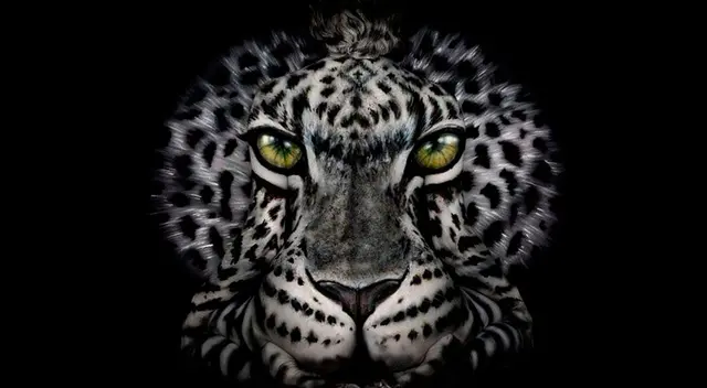 ¿Tigre blanco o mujer de espaldas? Lo primero que veas definirá tus pasiones prohibidas