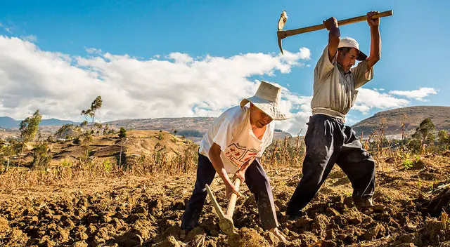 Bono Wanuchay de 350 soles: ¿Hasta cuándo cobrar el beneficio para agricultores? Bono Wanuchay de 350 soles: ¿Hasta cuándo cobrar el beneficio para agricultores?