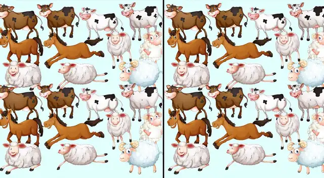 ¿Puedes resolver este difícil reto visual? ¿Puedes resolver este difícil reto visual?