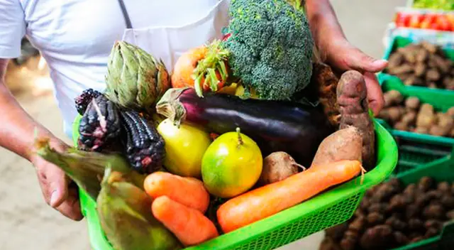 ¿Cuándo se entregará el Bono Alimentario 2022 y a quiénes beneficiará? ¿Cuándo se entregará el Bono Alimentario 2022 y a quiénes beneficiará?