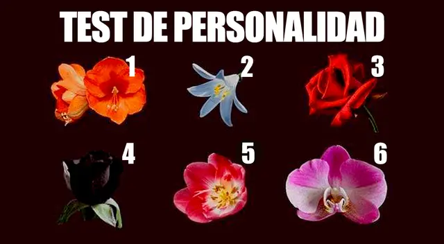 Descubre más detalles de tu personalidad con este sencillo test viral.