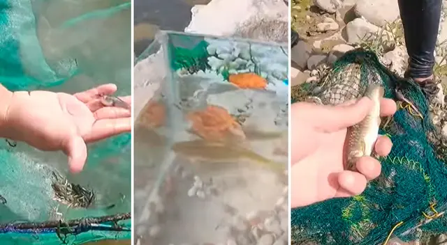 TikToker logra gran pesca en uno de los ríos más contaminados de Lima Norte