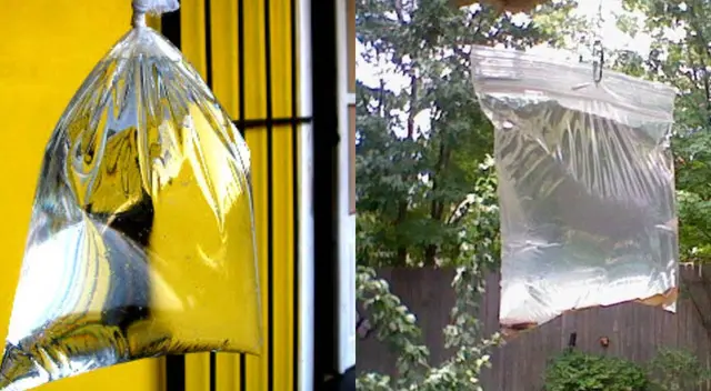 ¿Por qué los peruanos colgaban bolsas de agua dentro de sus casas? ¿Por qué los peruanos colgaban bolsas de agua dentro de sus casas?