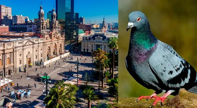 Plaza de Armas de Chile