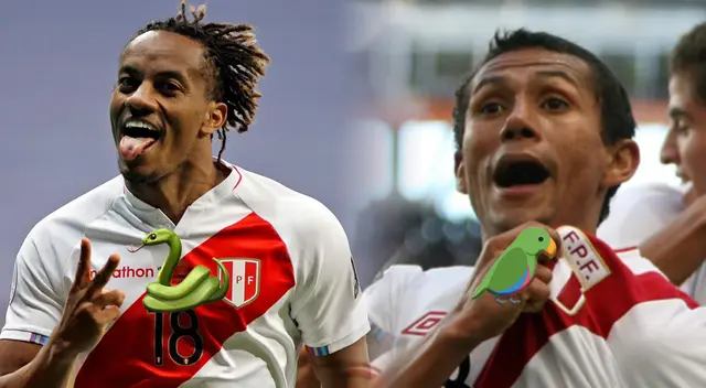 Conoce los apodos de animales en el fútbol peruano. Conoce los apodos de animales en el fútbol peruano.