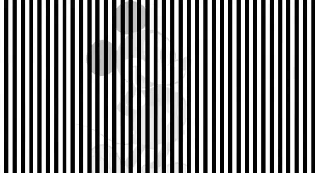 Ilusión óptica