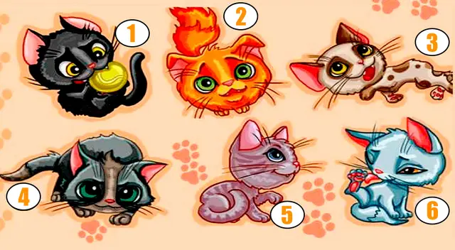 ¿Qué gatito te gusta más? Conoce más de tu personalidad con este test viral.