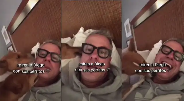 Diego Bertie y el tierno video que compartió con sus mascotas antes de fallecer