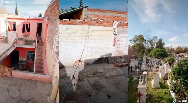 Tiktok: joven presume su ‘lujosa’ mansión que está dentro de un cementerio Tiktok: joven presume su ‘lujosa’ mansión que está dentro de un cementerio
