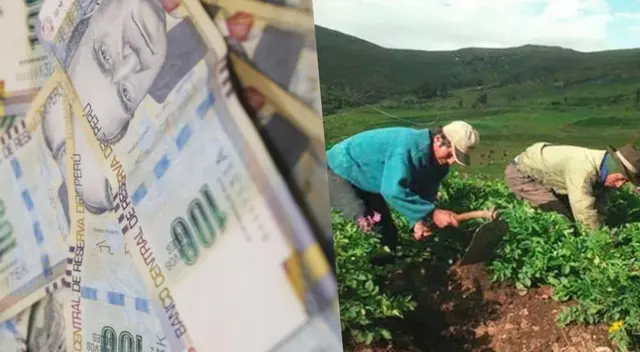 Bono Wanuchay: ¿Cómo enterarme si accedo al beneficio? Bono Wanuchay: ¿Cómo enterarme si accedo al beneficio?