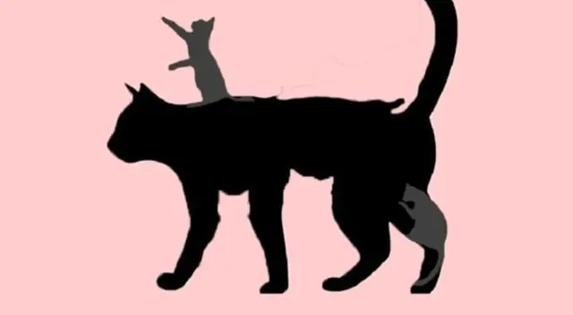 ¿Cuántos gatos ves? Tu respuesta en este test visual dirá si eres una persona inmadura