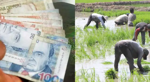 Bono Wanuchay: ¿Cómo sabré si me corresponde recibir el subsidio?