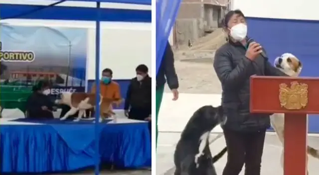 Perros interrumpen ceremonia municipal para llenar de 'besos' a trabajadora - VIDEO Perros interrumpen ceremonia municipal para llenar de 'besos' a trabajadora - VIDEO