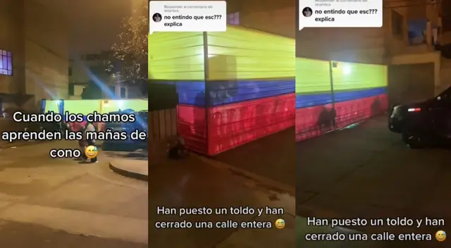 "Ya están agarrando nuestras costumbres de los peruanos", comentarios los usuarios en TikTok.