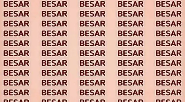 Encuentra la palabra PESAR en 8 segundos.