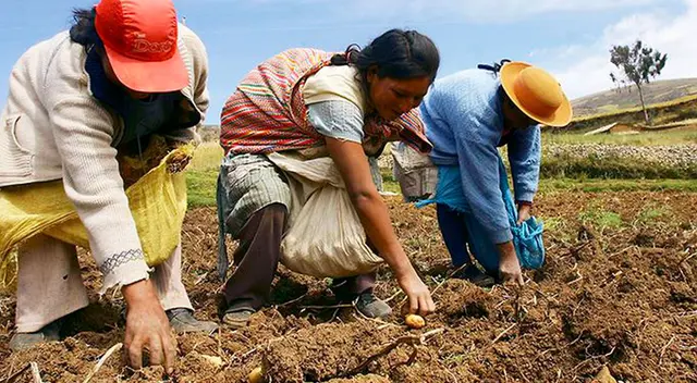 ¿Quiénes recibirán el Bono Wanuchay este mes? Esta es la lista de beneficiarios