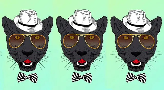 Reto visual IMPOSIBLE: ¿Qué pantera es diferente? Cuentas con 8 segundos para descubrirla Reto visual IMPOSIBLE: ¿Qué pantera es diferente? Cuentas con 8 segundos para descubrirla