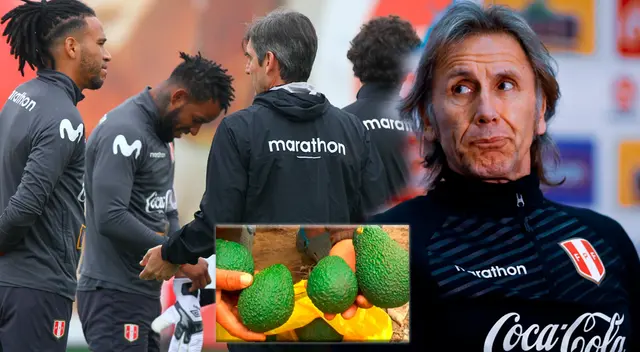 Formó parte del comando técnico de Ricardo Gareca y ahora se dedica al sembrado de paltas