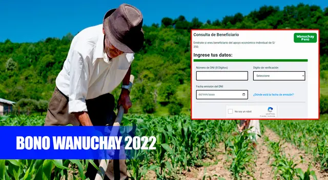 Revisa todos los detalles del bono económico de 350 soles.