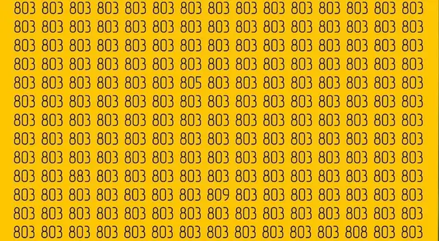 Solo las personas que tienen una excelente visión superan este reto extremo. Solo las personas que tienen una excelente visión superan este reto extremo.