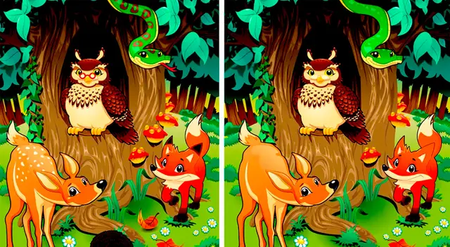 ¿Lograrás encontrar las 10 diferencias del reto visual en tiempo récord?