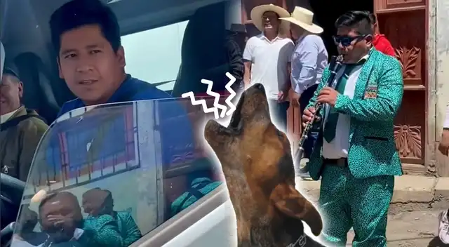 TikTok: chofer creyó haber atropellado a un perrito, pero en realidad era un hábil músico TikTok: chofer creyó haber atropellado a un perrito, pero en realidad era un hábil músico