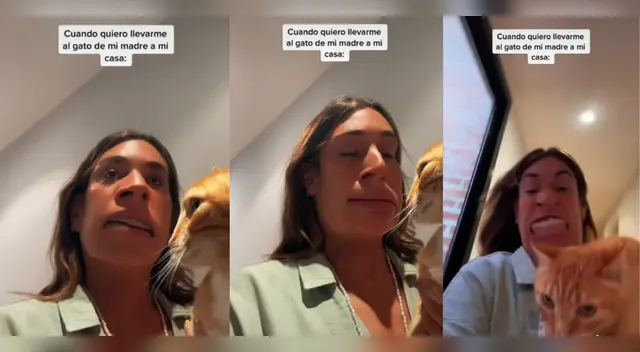Joven intenta robar el gato de su madre y se hace viral Joven intenta robar el gato de su madre y se hace viral