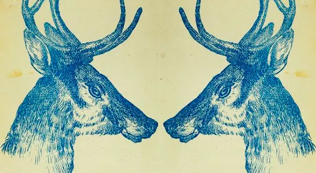 ¿Puedes ver al conejo? Más del 90% no lo ubicó en este reto visual; tienes 8 segundos ¿Puedes ver al conejo? Más del 90% no lo ubicó en este reto visual; tienes 8 segundos