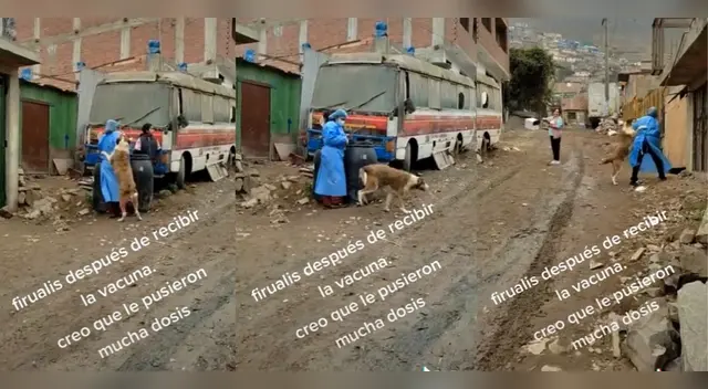 Firulais abraza y agradece a enfermeras por vacunarlo contra la rabia Firulais abraza y agradece a enfermeras por vacunarlo contra la rabia