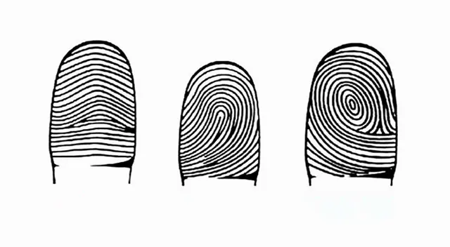 Según tu huella dactilar este test de personalidad revelaría tu verdadero carácter