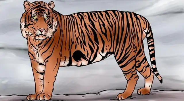 ¿Dónde está la presa del Tigre? Resuelve en 8 segundo el reto visual que NADIE logró