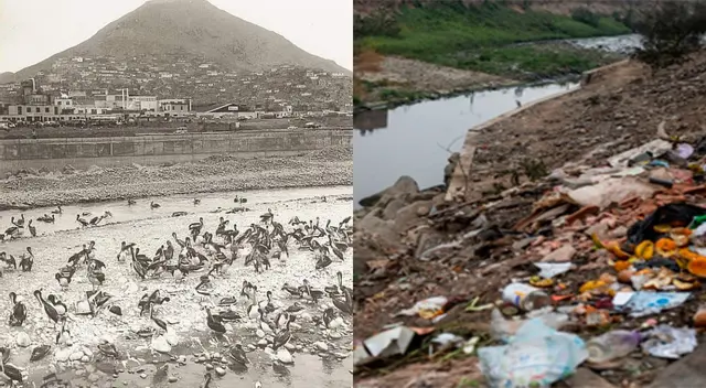 Así lucía el Río Rímac con pelícanos en 1970 Así lucía el Río Rímac con pelícanos en 1970