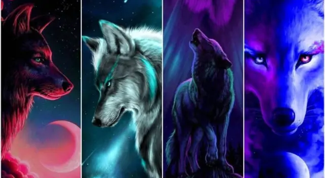 Test de personalidad: Escoge un lobo y descubre si eres una persona romántica