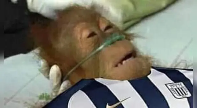 Alianza Lima alejándose del sueño se der campeones Alianza Lima alejándose del sueño se der campeones