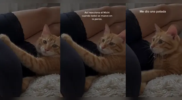 TikTok: Gatito reacciona a patada de un bebé y enternece a miles de usuarios