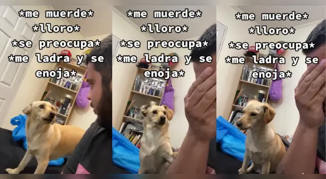 Perrita tiene discusión con su dueño y se vuelve viral