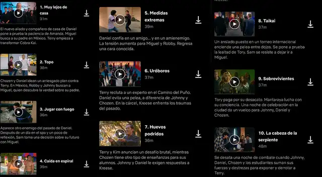 Capítulos de Cobra Kai 
